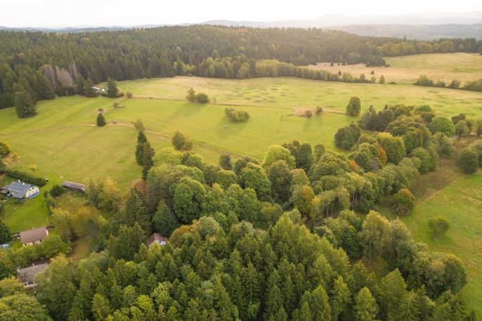 Prodej, Pozemek k bydlení, Lesná