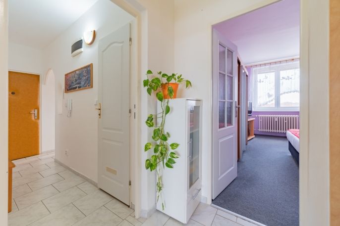 Prodej, Byt 2+1, Cheb