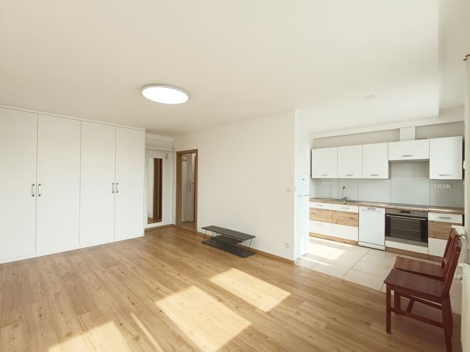 Pronájem, Byt 1+kk, Slaný