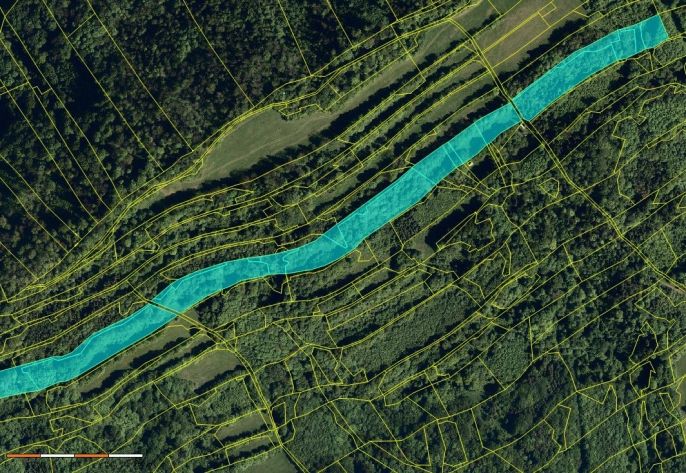 Prodej, Les, Nový Jičín