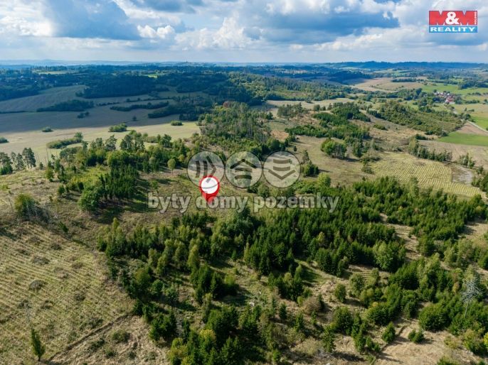 Prodej, Les, Horní Heřmanice