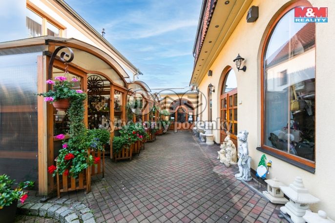 Pronájem, Obchod a služby, Domažlice