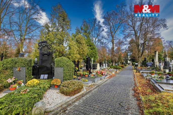 Prodej, Ostatní, Plzeň