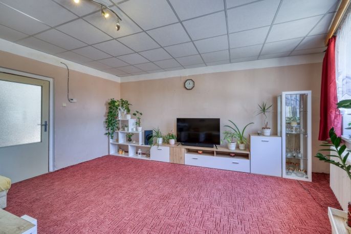 Prodej, Rodinný dům, Oplot