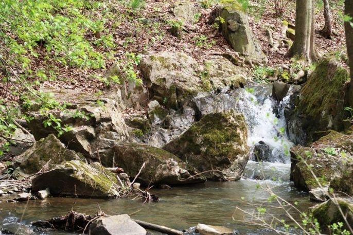 Prodej, Chata, Svojšice