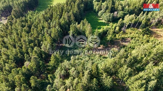 Prodej, Les, Petrovice u Sušice