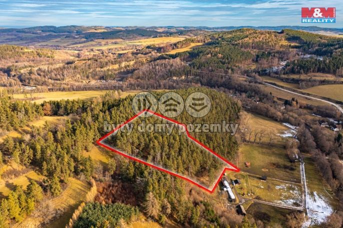 Prodej, Les, Malenice