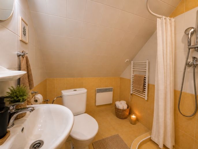 Prodej, Hotel, penzion, Nová Pec