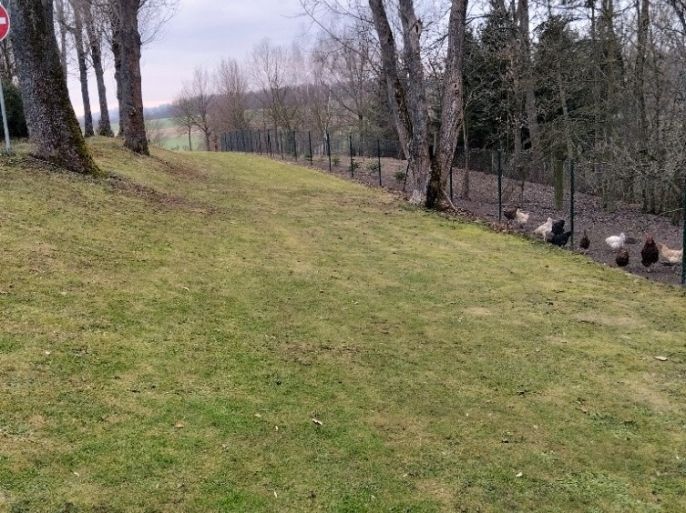 Prodej, Pozemek k bydlení, Svijanský Újezd