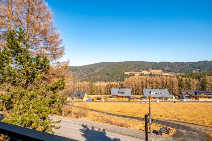 Prodej, Hotel, penzion, Železná Ruda