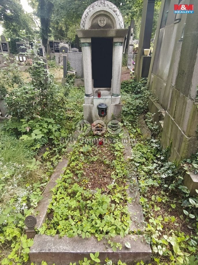 Prodej, Ostatní, Plzeň