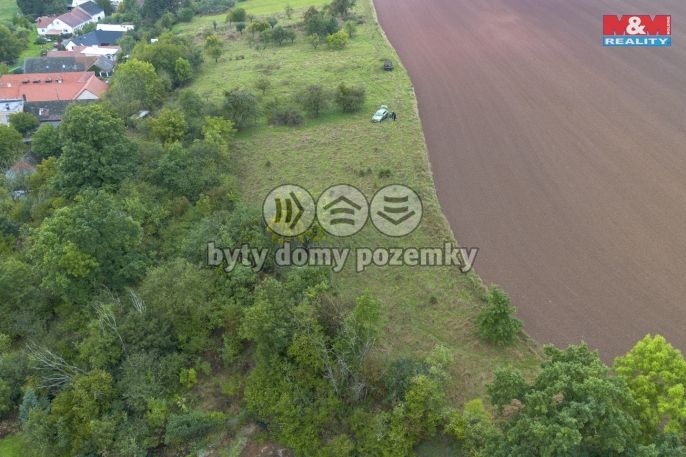 Prodej, Ovocný sad, Žleby