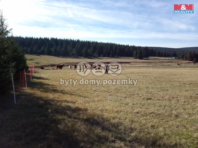 Prodej, Louka, Kořenov