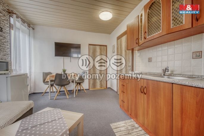 Prodej, Hotel, penzion, Železná Ruda