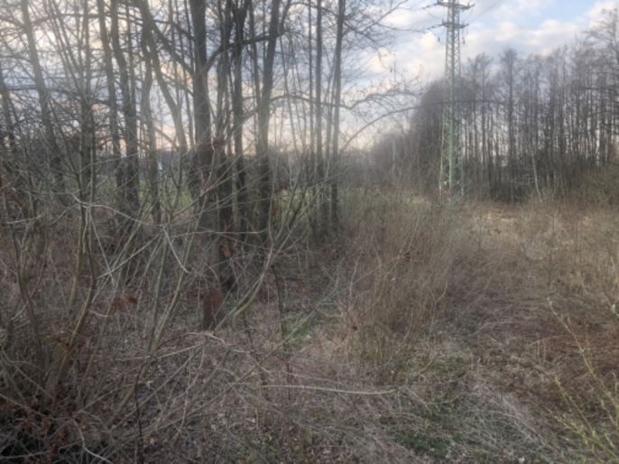 Prodej, Louka, Horní Suchá