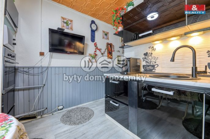 Prodej, Byt 2+1, Bor