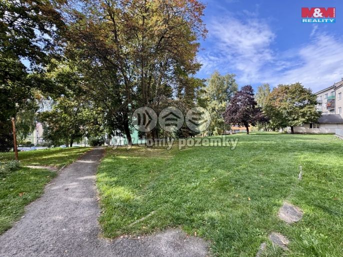 Prodej, Byt 3+kk, Aš