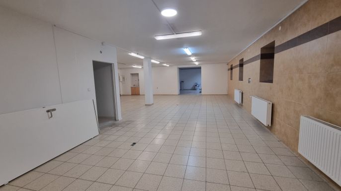 Pronájem, Obchod a služby, Český Těšín