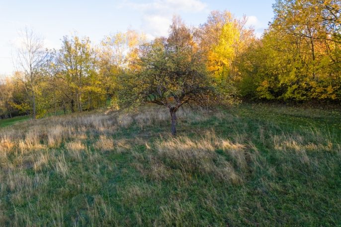 Prodej, Pozemek k bydlení, Soběšice