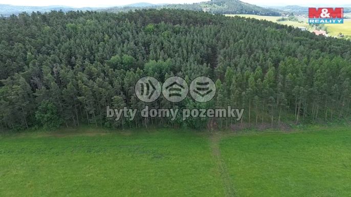 Prodej, Les, Chotilsko