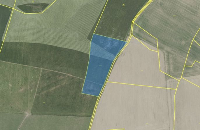 Prodej, Pole, Heřmaničky