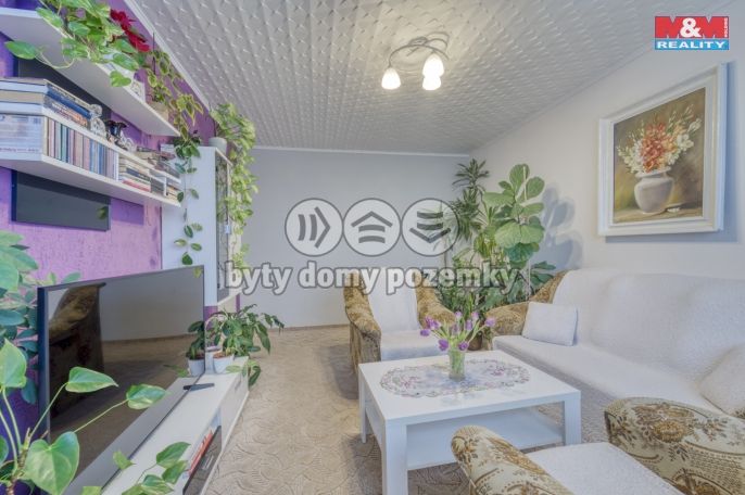 Prodej, Byt 2+1, Bor