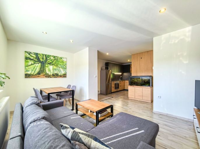 Pronájem, Byt 3+kk, Dolní Dobrouč