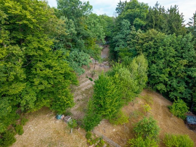 Prodej, Zahrada, Jablonné nad Orlicí