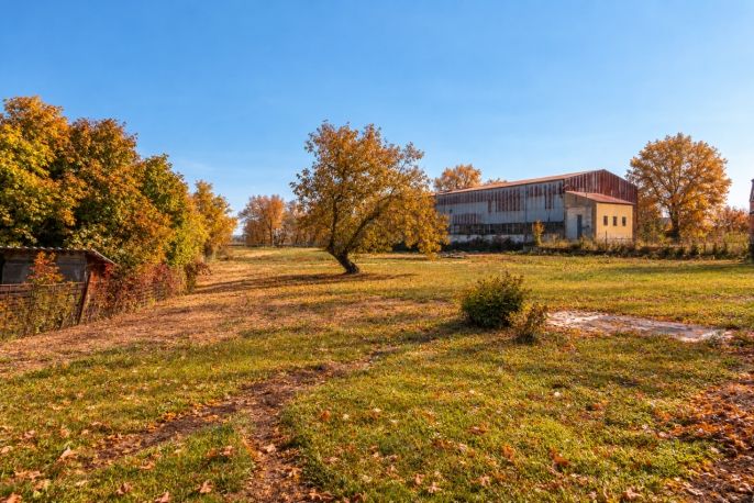 Prodej, Zemědělská usedlost, Libějovice