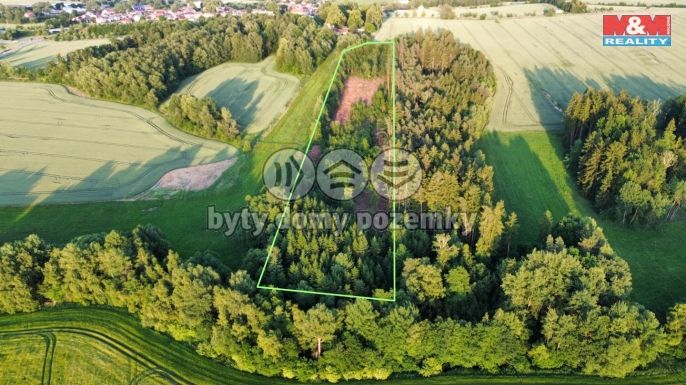 Prodej, Les, Božejov