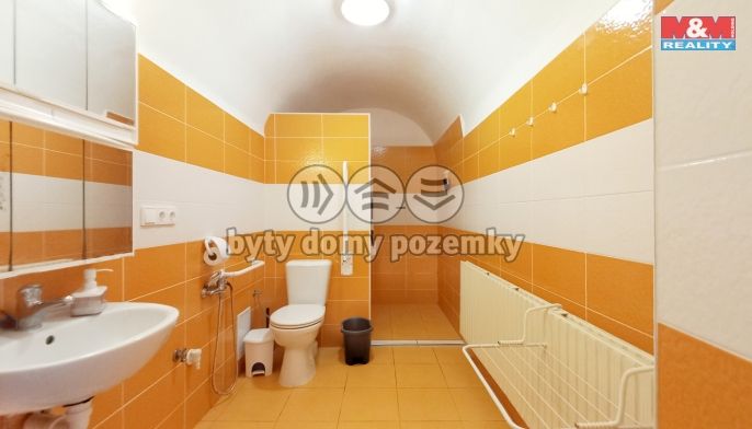 Prodej, Rodinný dům, Staré Město pod Landštejnem