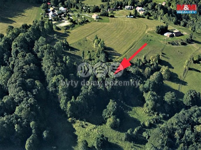 Prodej, Louka, Koberovy