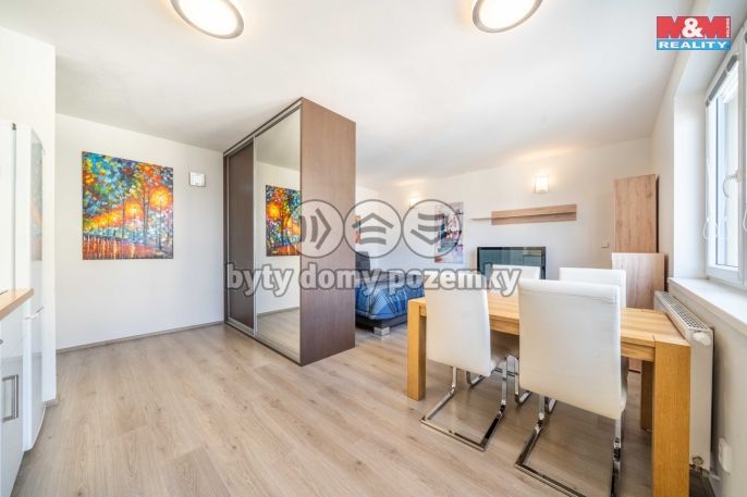 Pronájem, Byt 1+kk, Plzeň