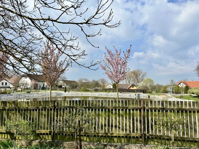 Prodej, Chalupa, Malšice