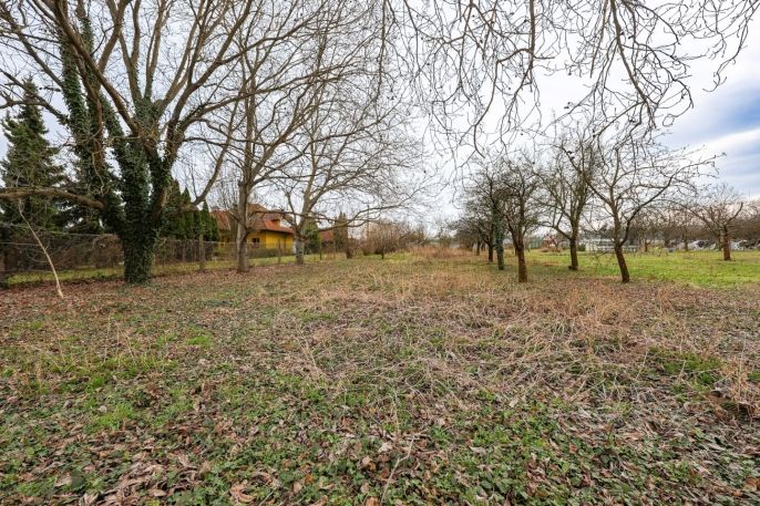 Prodej, Pozemek k bydlení, Určice