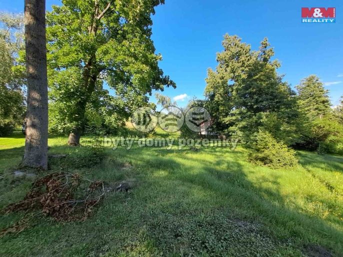 Prodej, Zahrada, Město Albrechtice