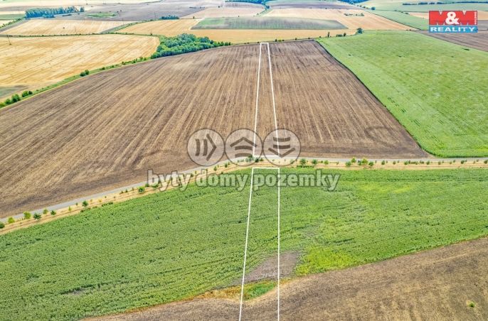 Prodej, Pole, Žatčany