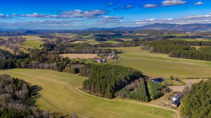 Prodej, Les, Všelibice