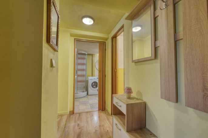 Prodej, Rodinný dům, Čistá