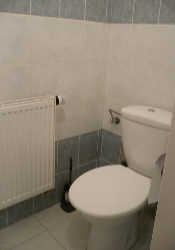 Pronájem, Byt 1+kk, Ostrava