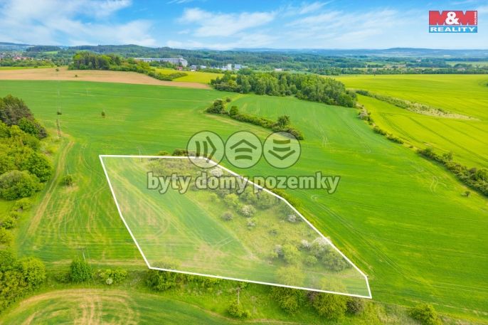 Prodej, Louka, Lešetice