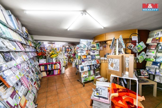 Pronájem, Obchod a služby, Domažlice