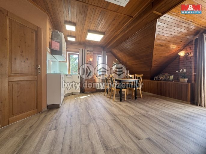 Pronájem, Byt 1+kk, Bříství