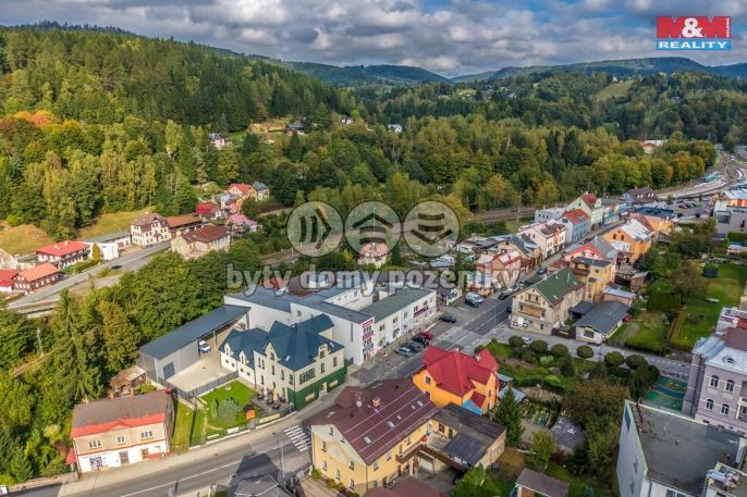 Prodej, Obchod a služby, Tanvald