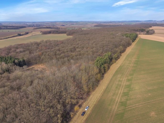 Prodej, Les, Slatiny