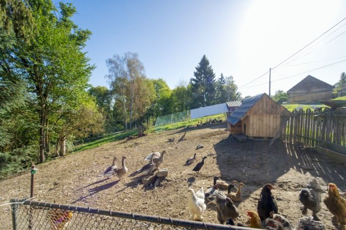 Prodej, Zemědělská usedlost, Čečovice