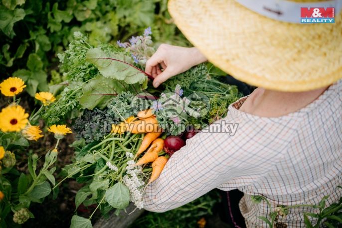Prodej, Komerční pozemky, Sušice