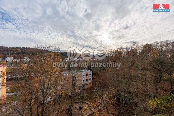 Pronájem, Byt 2+1, Karlovy Vary