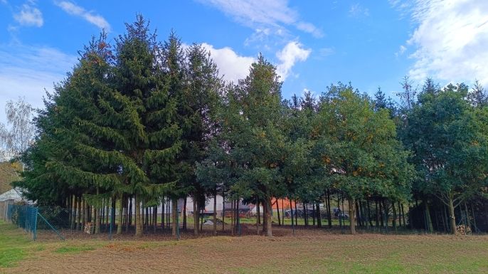 Prodej, Pozemek k bydlení, Senožaty