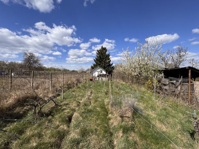 Prodej, Chata, Hrušovany u Brna